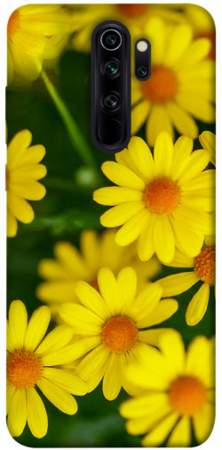 Чохол itsPrint Yellow chamomiles для Xiaomi Redmi Note 8 Pro