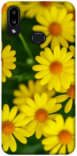 Чохол itsPrint Yellow chamomiles для Samsung Galaxy A10s