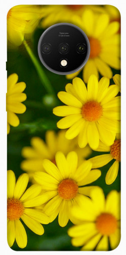 Чехол itsPrint Yellow chamomiles для OnePlus 7T