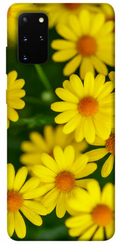 Чохол itsPrint Yellow chamomiles для Samsung Galaxy S20+