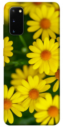 Чохол itsPrint Yellow chamomiles для Samsung Galaxy S20