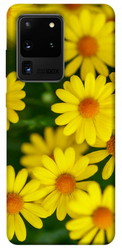 Чохол itsPrint Yellow chamomiles для Samsung Galaxy S20 Ultra