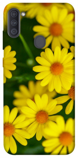Чохол itsPrint Yellow chamomiles для Samsung Galaxy A11