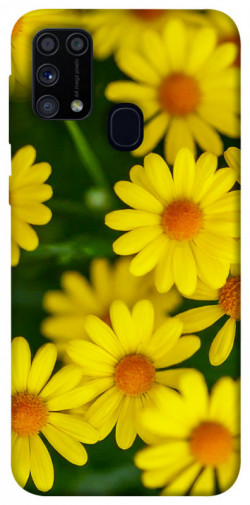 Чохол itsPrint Yellow chamomiles для Samsung Galaxy M31