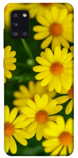 Чохол itsPrint Yellow chamomiles для Samsung Galaxy A31