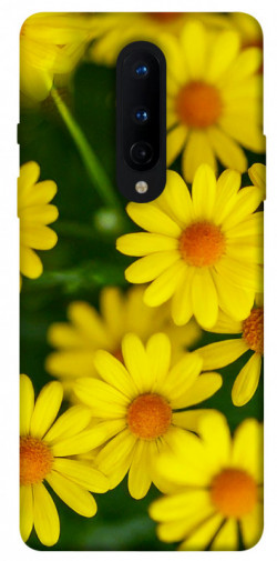 Чехол itsPrint Yellow chamomiles для OnePlus 8