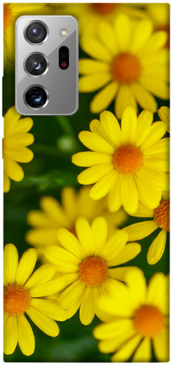 Чохол itsPrint Yellow chamomiles для Samsung Galaxy Note 20 Ultra