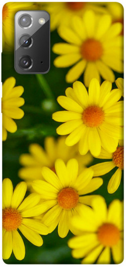 Чехол itsPrint Yellow chamomiles для Samsung Galaxy Note 20