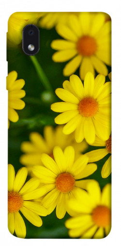 Чохол itsPrint Yellow chamomiles для Samsung Galaxy M01 Core / A01 Core