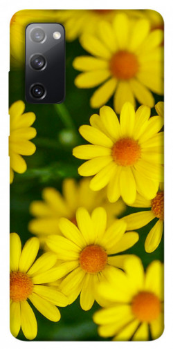 Чохол itsPrint Yellow chamomiles для Samsung Galaxy S20 FE
