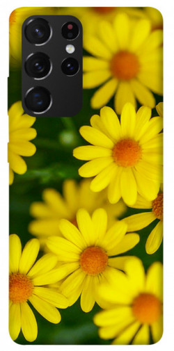 Чехол itsPrint Yellow chamomiles для Samsung Galaxy S21 Ultra