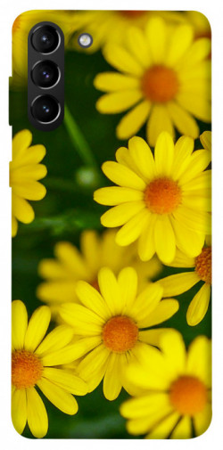Чохол itsPrint Yellow chamomiles для Samsung Galaxy S21+