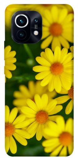 Чохол itsPrint Yellow chamomiles для Xiaomi Mi 11