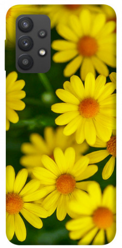 Чохол itsPrint Yellow chamomiles для Samsung Galaxy A32 (A325F) 4G