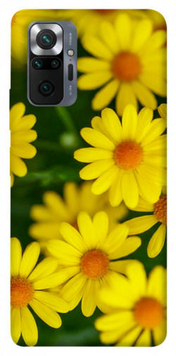 Чохол itsPrint Yellow chamomiles для Xiaomi Redmi Note 10 Pro Max