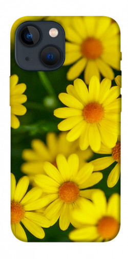 Чехол itsPrint Yellow chamomiles для Apple iPhone 13 mini (5.4")