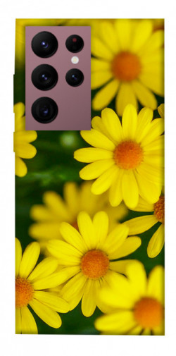 Чохол itsPrint Yellow chamomiles для Samsung Galaxy S22 Ultra
