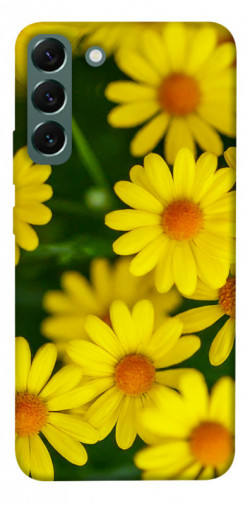 Чохол itsPrint Yellow chamomiles для Samsung Galaxy S22+