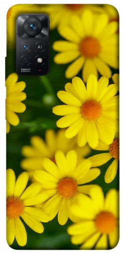 Чехол itsPrint Yellow chamomiles для Xiaomi Redmi Note 11 Pro 4G/5G