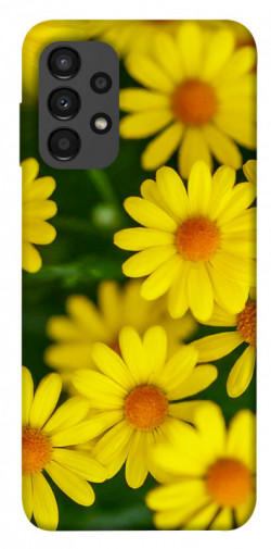 Чехол itsPrint Yellow chamomiles для Samsung Galaxy A13 4G
