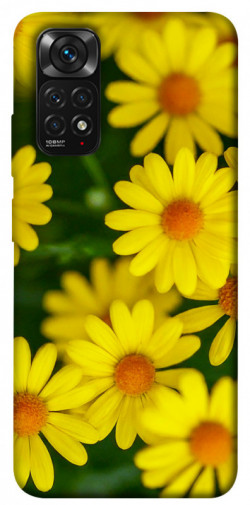 Чехол itsPrint Yellow chamomiles для Xiaomi Redmi Note 11 (Global) / Note 11S