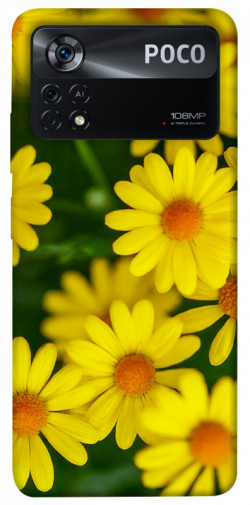 Чохол itsPrint Yellow chamomiles для Xiaomi Poco X4 Pro 5G