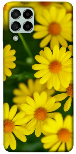 Чехол itsPrint Yellow chamomiles для Samsung Galaxy M53 5G