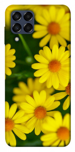 Чехол itsPrint Yellow chamomiles для Samsung Galaxy M33 5G