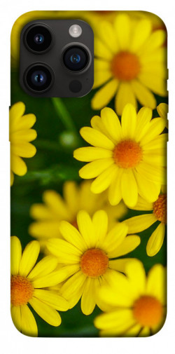 Чехол itsPrint Yellow chamomiles для Apple iPhone 14 Pro Max (6.7")