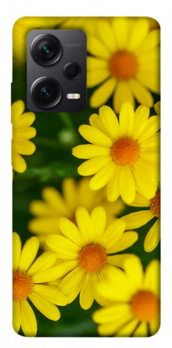 Чехол itsPrint Yellow chamomiles для Xiaomi Redmi Note 12 Pro+ 5G