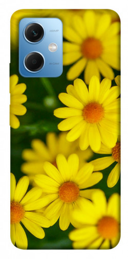 Чохол itsPrint Yellow chamomiles для Xiaomi Poco X5 5G