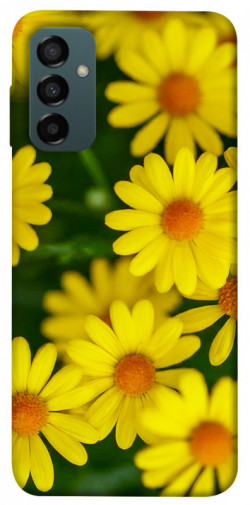 Чохол itsPrint Yellow chamomiles для Samsung Galaxy M14 5G