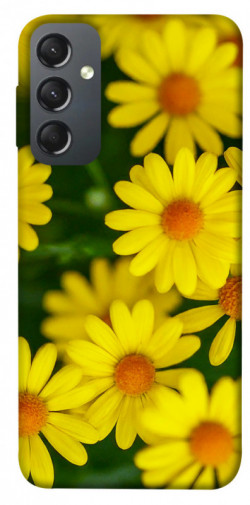 Чохол itsPrint Yellow chamomiles для Samsung Galaxy A24 4G