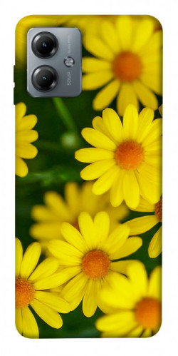 Чехол itsPrint Yellow chamomiles для Motorola Moto G14
