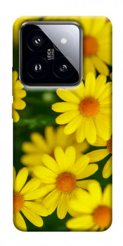 Чехол itsPrint Yellow chamomiles для Xiaomi 14 Pro