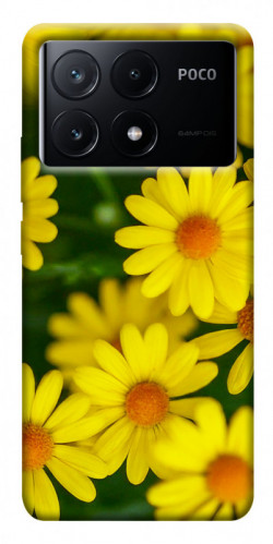 Чехол itsPrint Yellow chamomiles для Xiaomi Poco X6