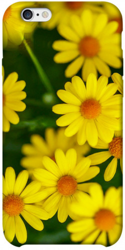 Чехол itsPrint Yellow chamomiles для Apple iPhone 6/6s plus (5.5")