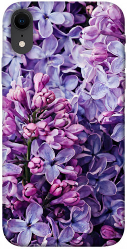 Чехол itsPrint Violet blossoms для Apple iPhone XR (6.1")