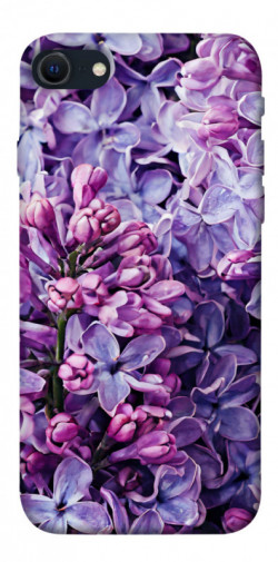 Чохол itsPrint Violet blossoms для Apple iPhone SE (2020)