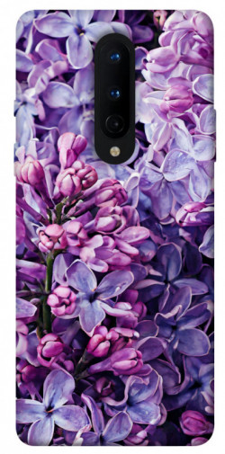 Чохол itsPrint Violet blossoms для OnePlus 8