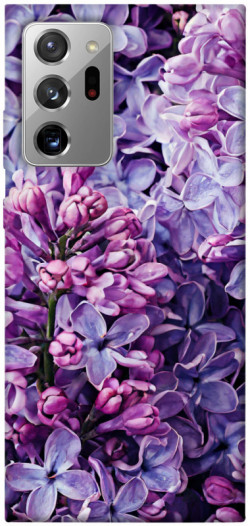 Чохол itsPrint Violet blossoms для Samsung Galaxy Note 20 Ultra