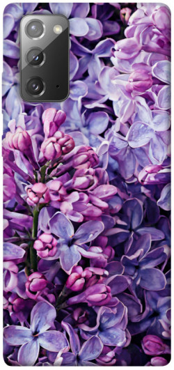 Чохол itsPrint Violet blossoms для Samsung Galaxy Note 20