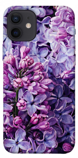 Чохол itsPrint Violet blossoms для Apple iPhone 12 (6.1")