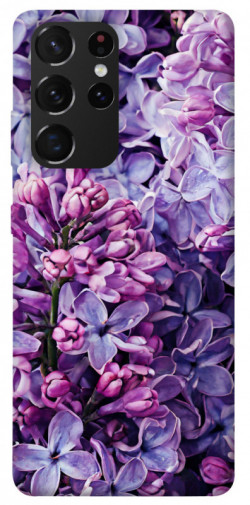 Чохол itsPrint Violet blossoms для Samsung Galaxy S21 Ultra