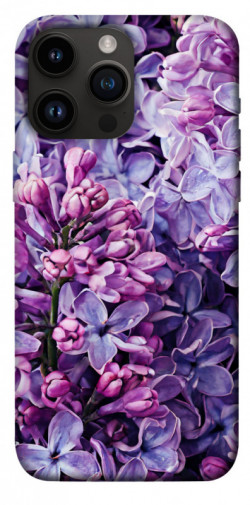 Чохол itsPrint Violet blossoms для Apple iPhone 14 Pro Max (6.7")