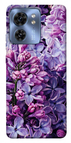 Чохол itsPrint Violet blossoms для Motorola Edge 40