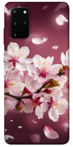 Чохол itsPrint Sakura для Samsung Galaxy S20+