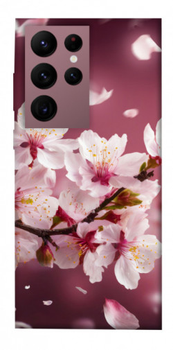 Чехол itsPrint Sakura для Samsung Galaxy S22 Ultra