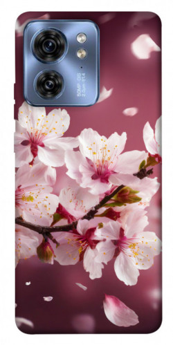 Чехол itsPrint Sakura для Motorola Edge 40