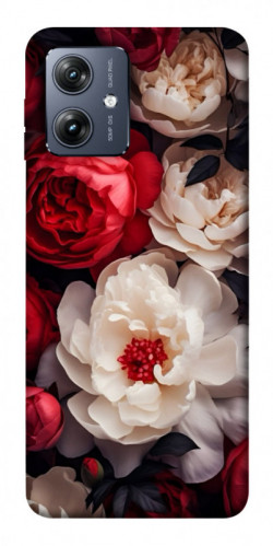 Чохол itsPrint Velvet roses для Motorola Moto G54